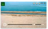 Азовское море. Веб-камера пансионата Заря